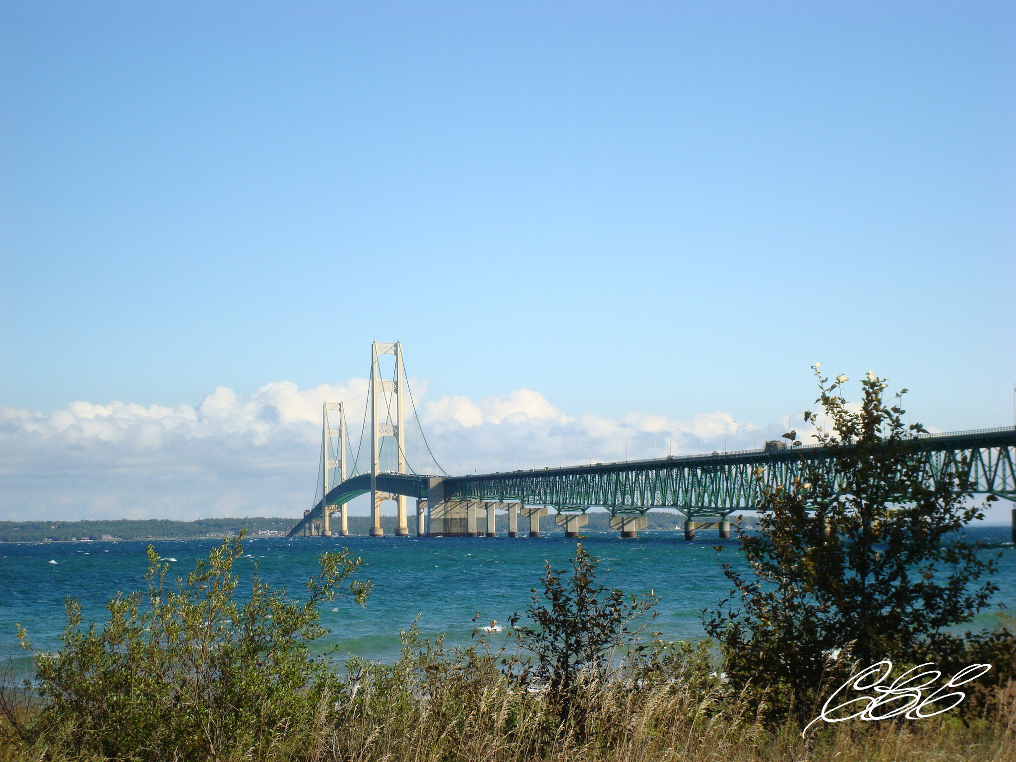 Bridge Views Thumbnail